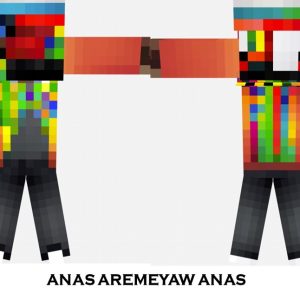 Anas Aremeyaw Anas