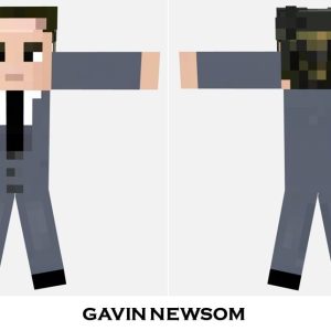 Gavin Newsom